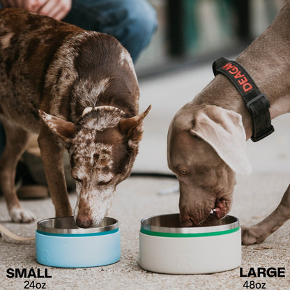 3-In-1 Dog Bowl image 14